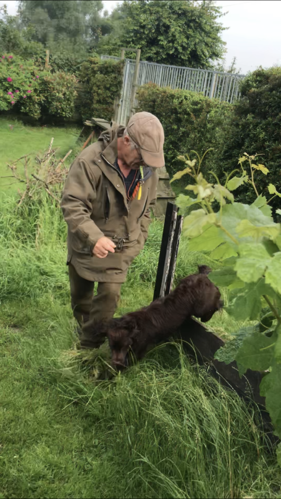 Best Dog Trainer in England Bahnemann Kennels